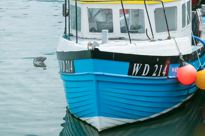 Kilmore Quay 2018 (015)